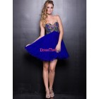 Gorgeous Princess Sweetheart Rhinestones Royal Blue Orangza Mini/Short Prom Dresses PD-50488