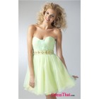 Simple A-Line Sweetheart Sleeveless Ruched Empire Tulle party Homecoming dress HD-9609