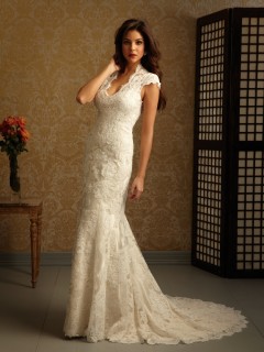 Fantastic Alluring Trumpet V-neck Chapel Train Lace Vintage Discount Wedding Dresses WD-1006